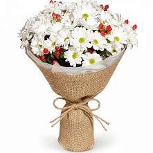 Букет цветов из:  Хризантемы #REPLACE_PRED# Габукае