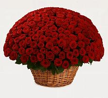 Премиум букет из: Розы в Габукае